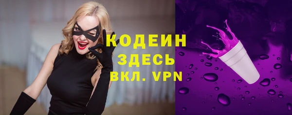 крисы Кодинск