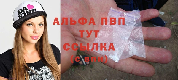 гашик Шадринск