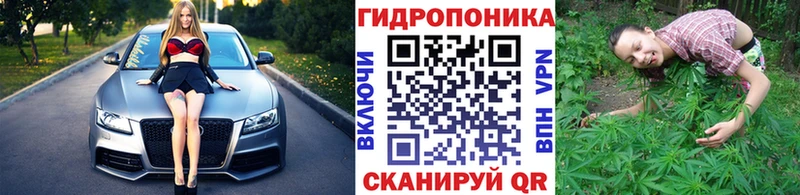 Конопля планчик Кушва